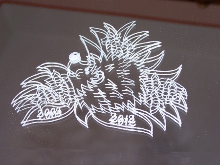 Tükörre gravírozott süni